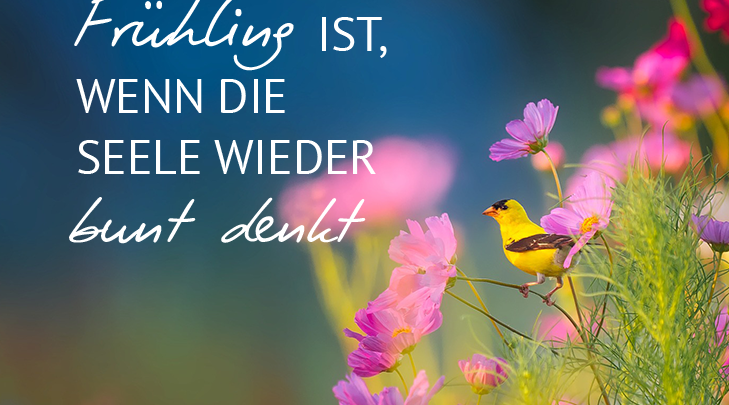 Frühlingsanfang zitate Bilder und Sprüche für Whatsapp und Facebook