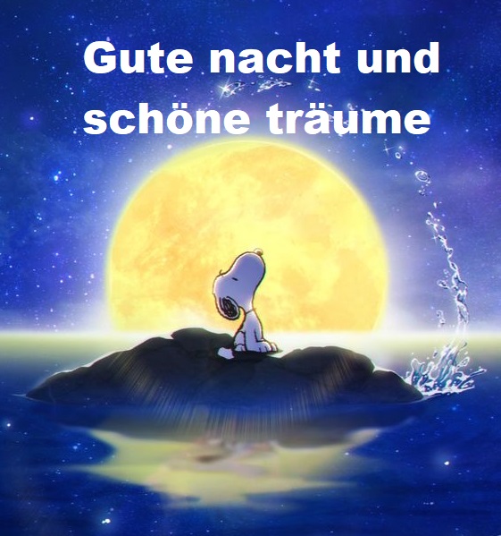 Gute nacht und schöne träume Bilder und Sprüche für Whatsapp und
