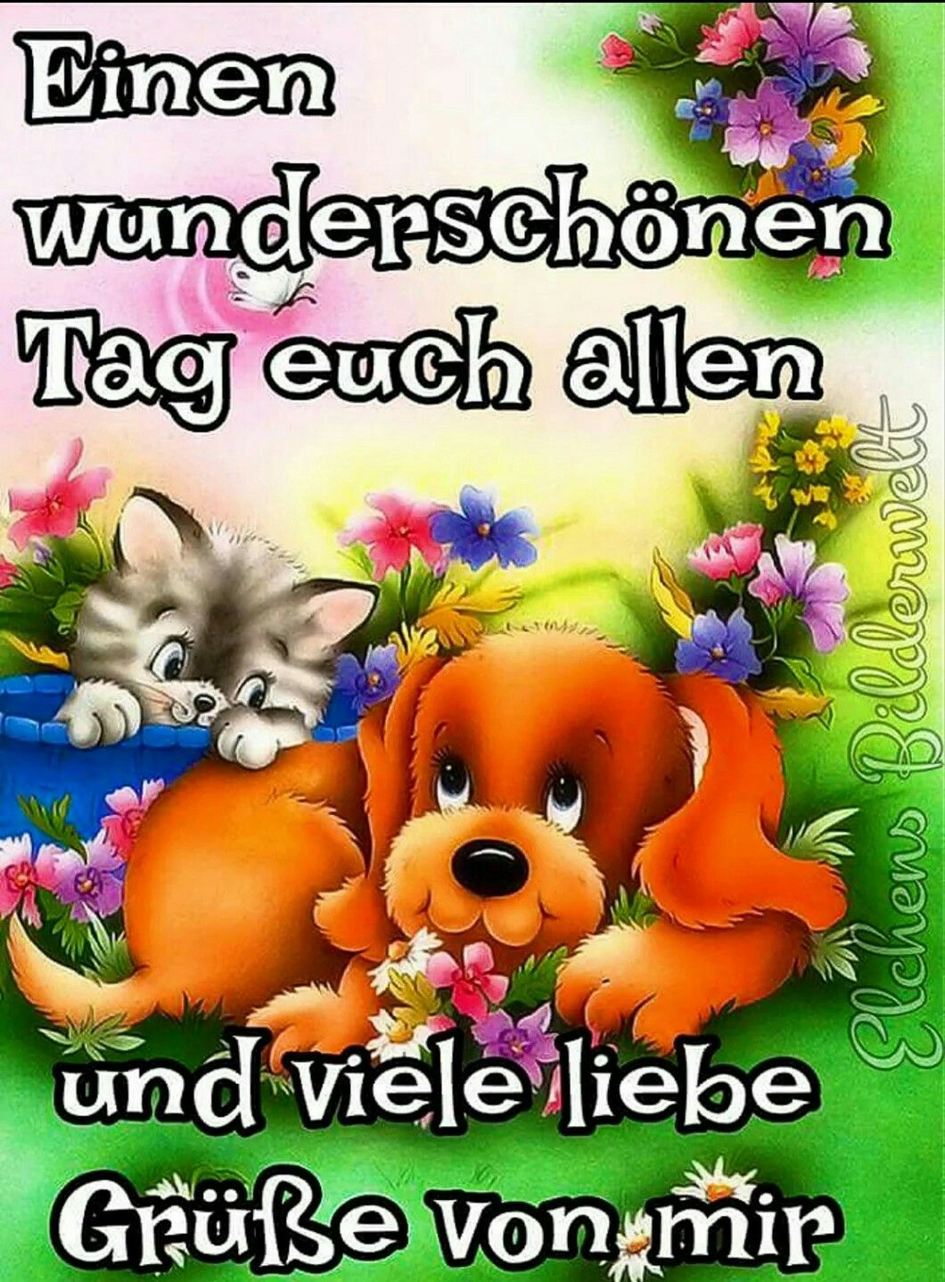 Ich Wünsche Allen Einen Schönen Tag Bilder und Sprüche für Whatsapp