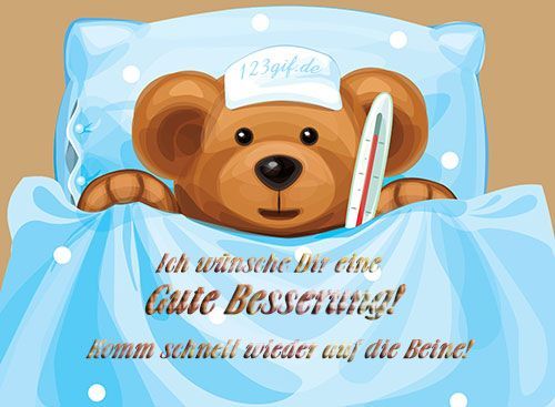 Whatsapp Bilder Und Videos Kostenlos