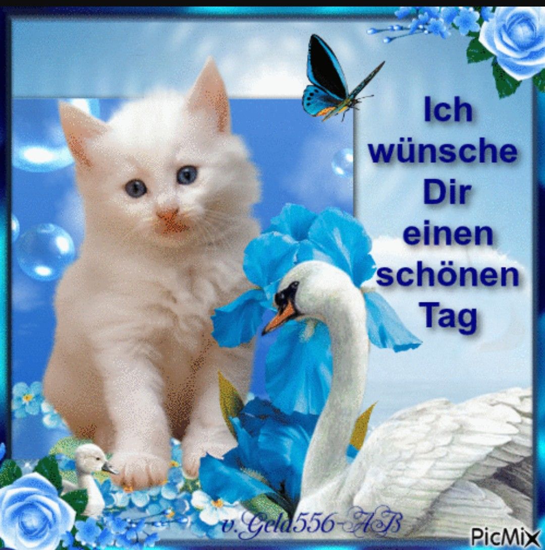 Guten Tag Wünsche Guten Tag Wünsche - Guten Tag Wünsche