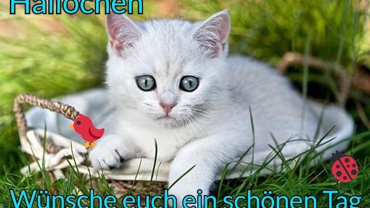 Für Immer Und Einen Tag Für Immer Und Einen Tag