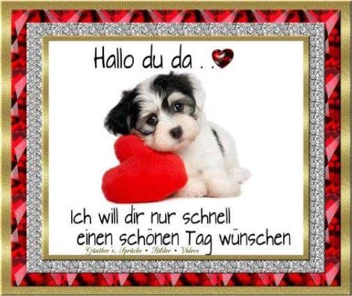 Ich Wünsche Euch Einen Schönen Tag Bilder und Sprüche für Whatsapp