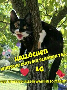 Schönen Tag Bilder Schönen Tag Bilder - Schönen Tag Bilder