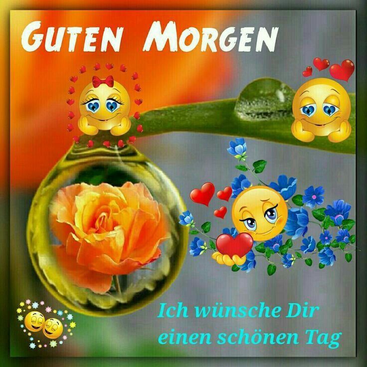 Schönen Tag Bilder Lustig Bilder und Sprüche für Whatsapp und