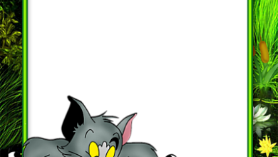 Tom_und_Jerry Fotorahmen