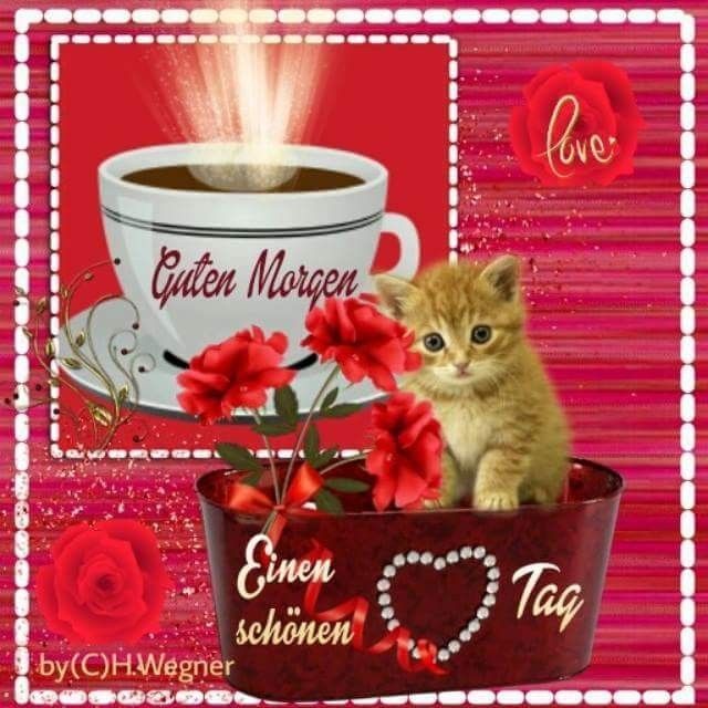 Vielen Dank Und Schönen Tag Bilder und Sprüche für Whatsapp und