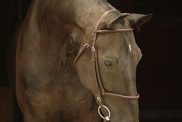 Wo Kann Man Gratis Musik Downloaden Tippcenter Wo Kann Man Gratis Musik Downloaden Tippcenter