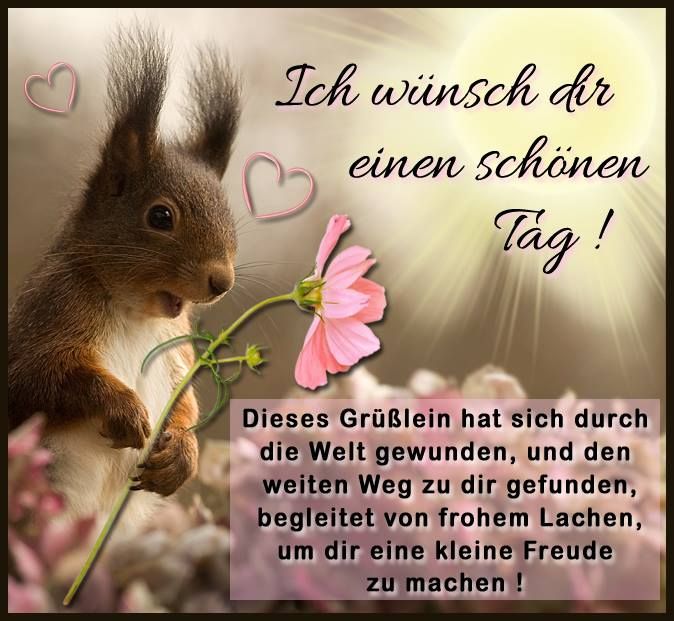 Wünsche Dir Einen Wunderschönen Tag Bilder und Sprüche für Whatsapp