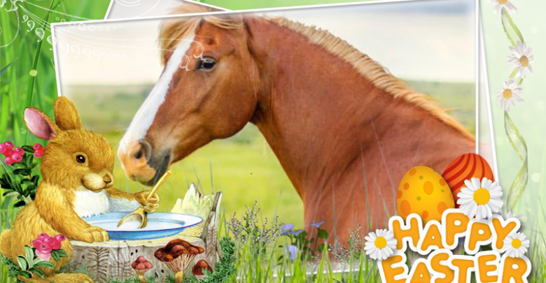 Frohe ostern pferd Bilder und Sprüche für Whatsapp und Facebook kostenlos