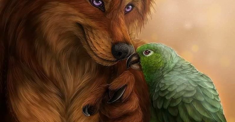 Kleiner Hund Mit Schlappohren Bilder und Sprüche für Whatsapp und