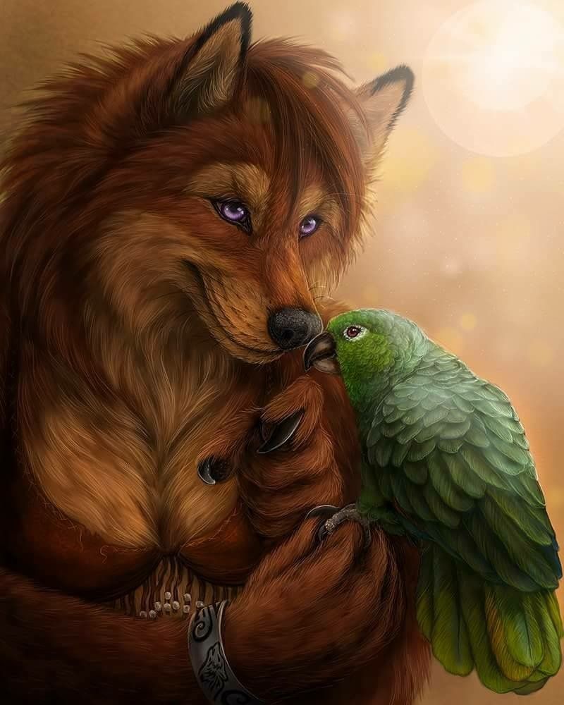 Kleiner Hund Mit Schlappohren Bilder und Sprüche für Whatsapp und